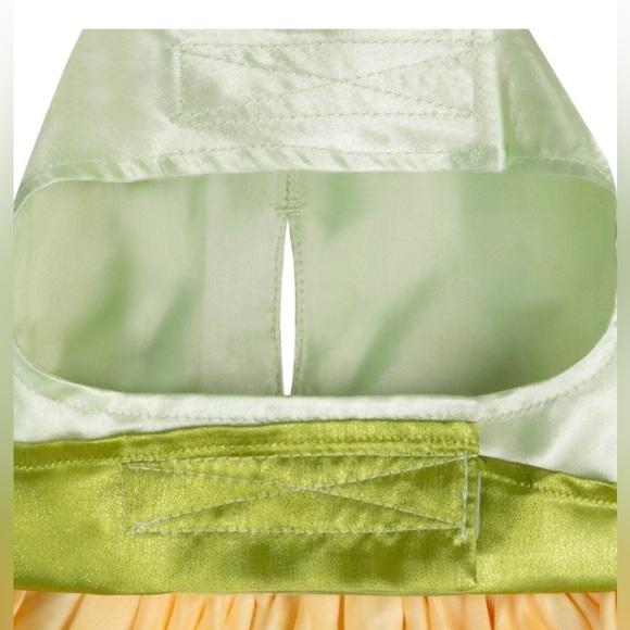 NWT Disney Tails pet halloween costume Princess and the Frog size large - Picture 2 of 5